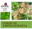 2022 06 08 corso Ampelografia MIVA